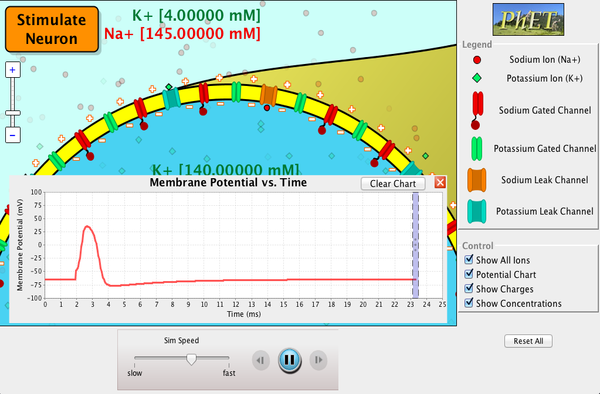 Neuron Screenshot